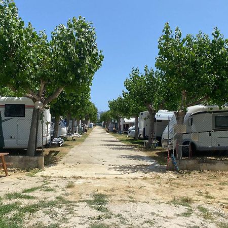 Camping Adriatico Martinsicuro Bagian luar foto